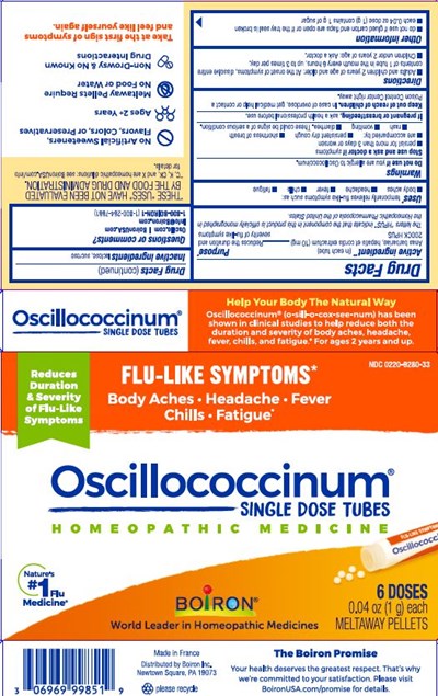 Oscillo 6 Dose Etu.1hc7 03.2022